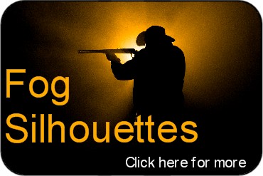 FogSilhouettes