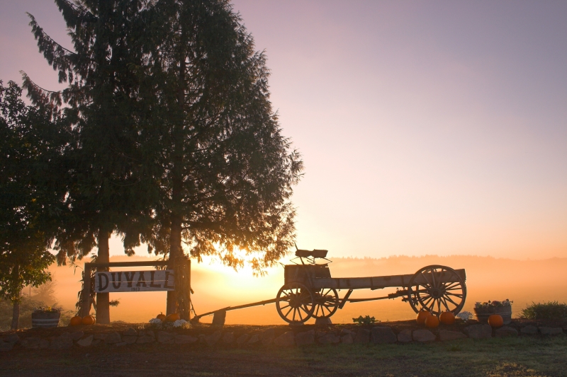 Duvall Wagon Sign Bright Autumn Morning