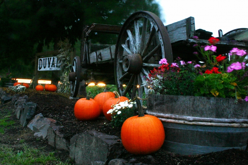 Pumpkin Wagon