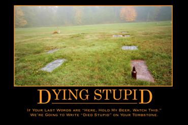 Dying Stupid 30x20 print