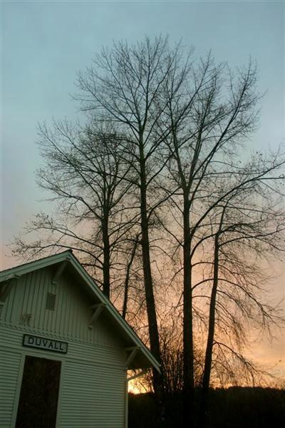 Duvall Station Sunset