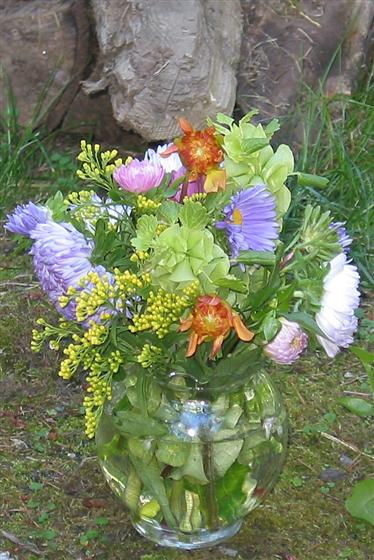 20050827133523.jpg