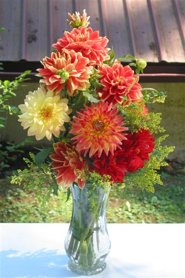 20050827151017.jpg