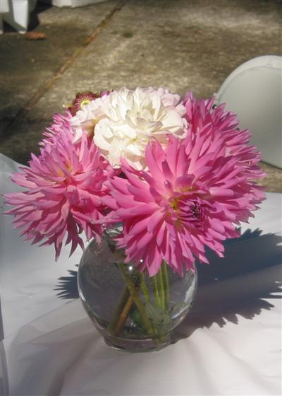 20050827151452.jpg
