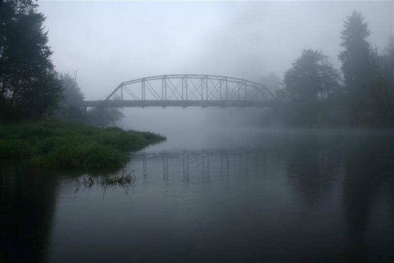 Tolt Bridge Fog