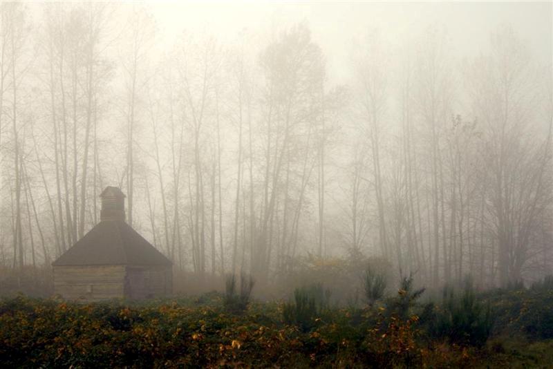 Hopshed in the Fog
