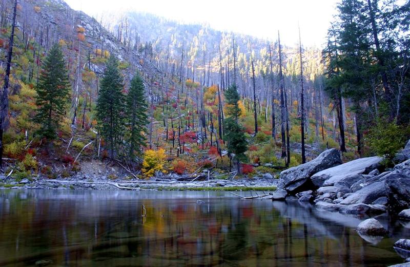 Reflections of Fall
