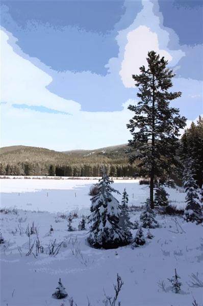 Snow Covered Mountain Meadow