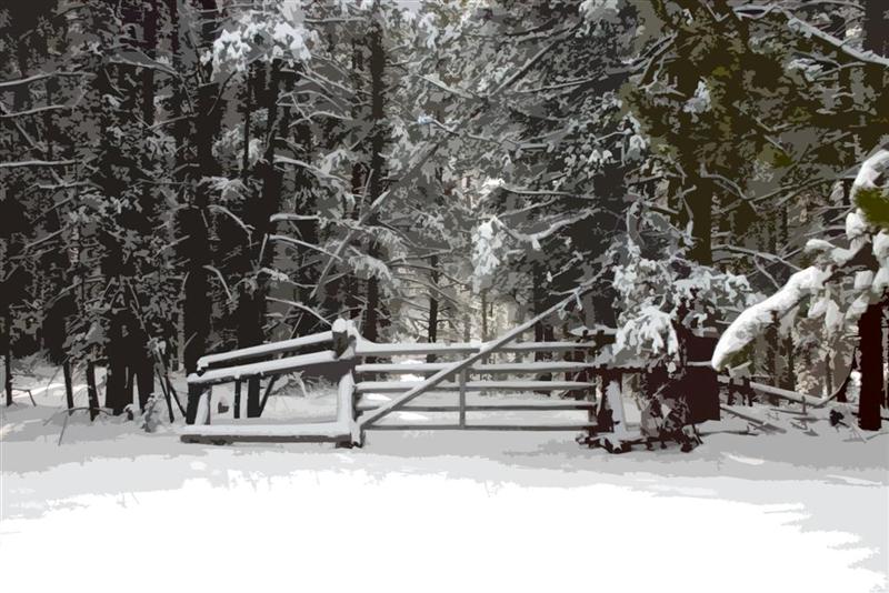 Snowy Gate