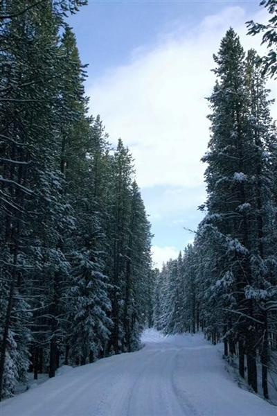 Snowy Mountain Road