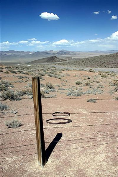 Rawhide Fence Post and Barrel Rings