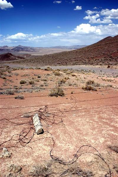 Rawhide Tangled Fence