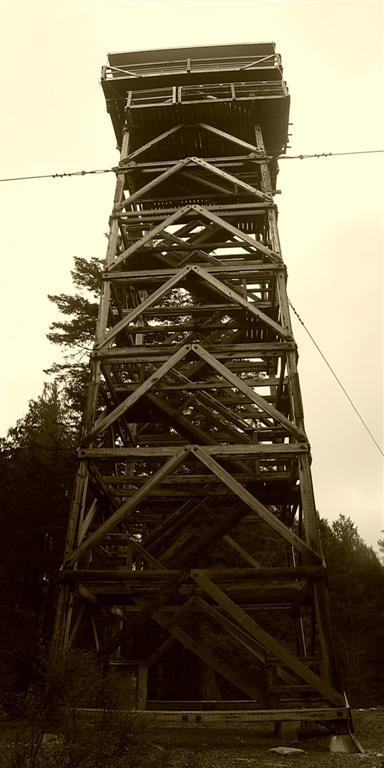 Heybrook Lookout Tower Panorama