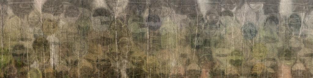 Camouflage Trees