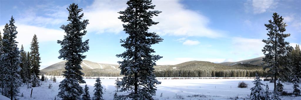 Echo Lake Meadow Panorama