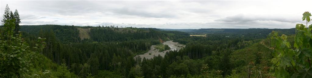 Skokomish Valley Panorama