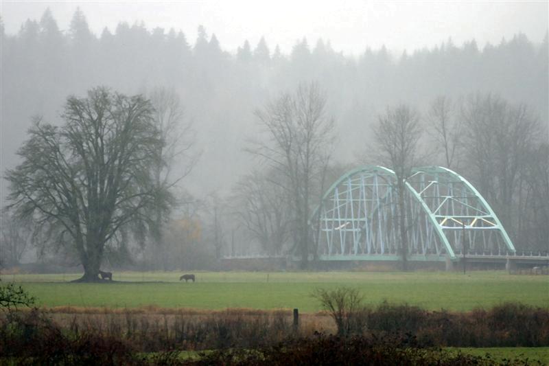 Rainy Day at the Novelty Bridge